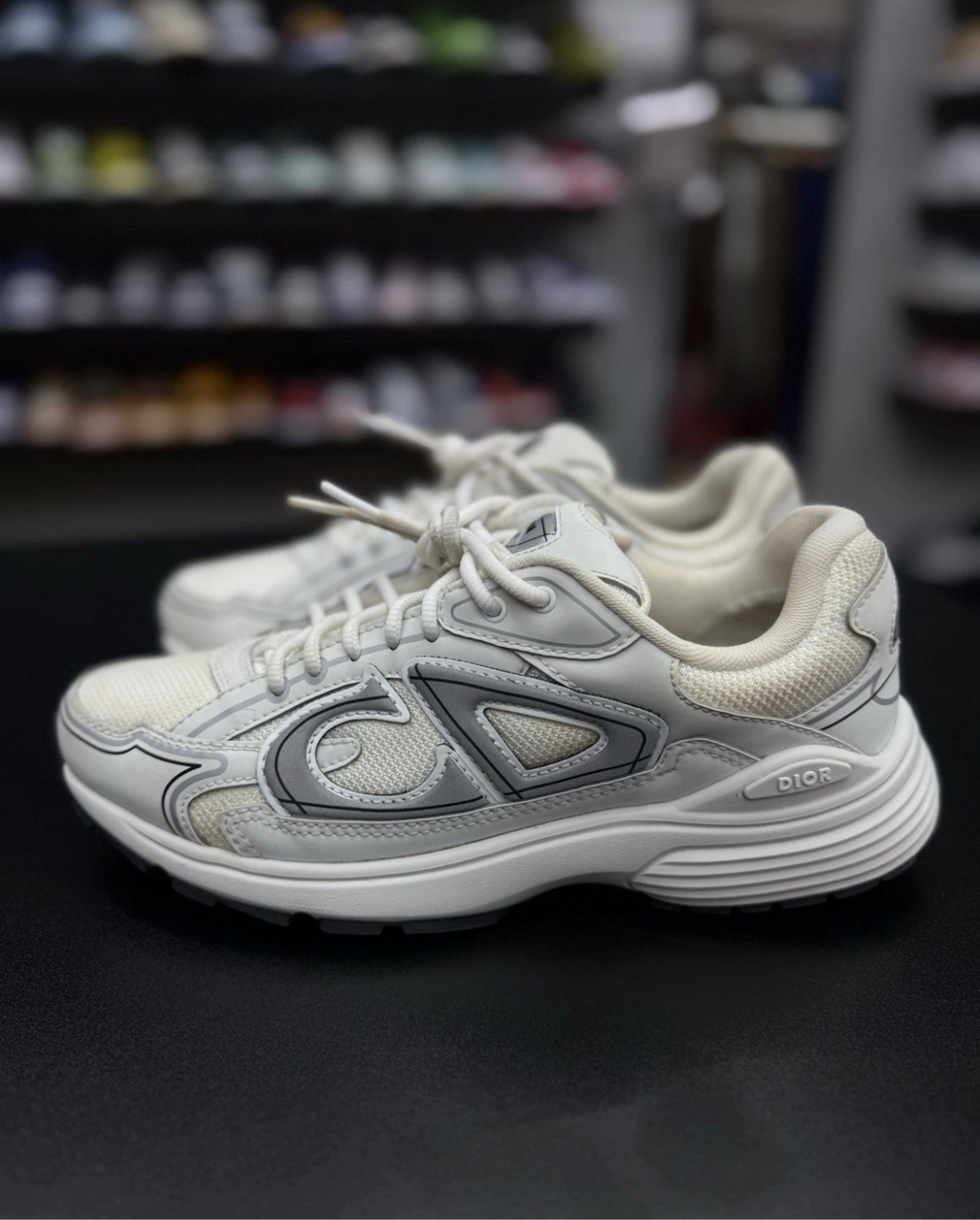 Dior B30 White Reflective Silver